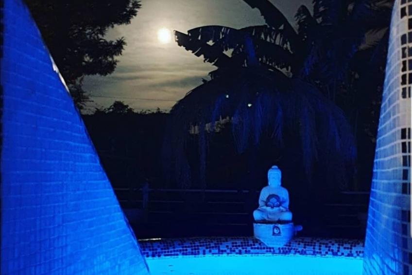 Das Lotus-Haus - foto 17