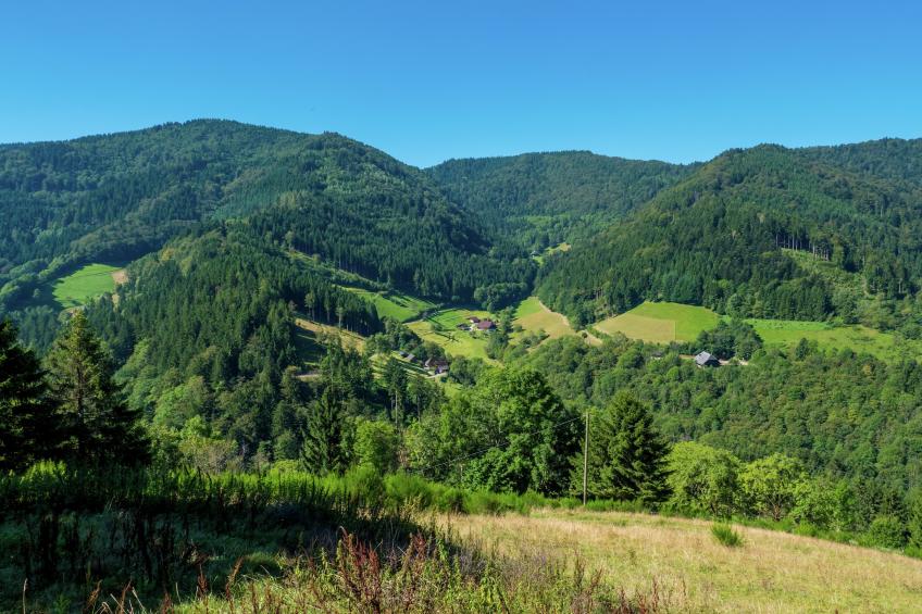 Gütenbach - foto 18