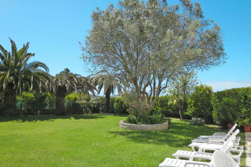 Fonte do Forno (AFI100) - foto 30