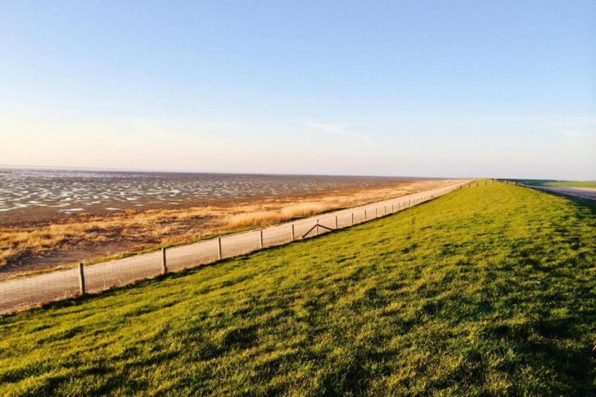 Bargereed 90 - foto 28