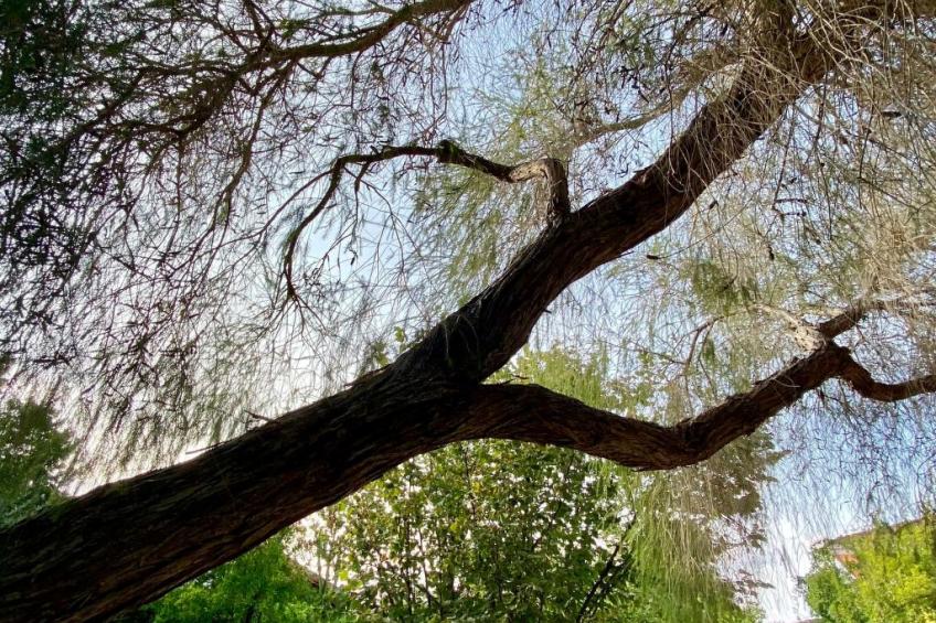 VILLA ARBATAX - foto 26