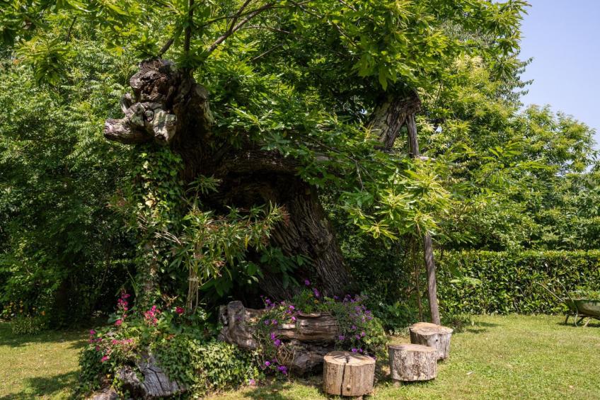 Gemütliches Ferienhaus in Ružići mit Offenem Kamin - foto 11