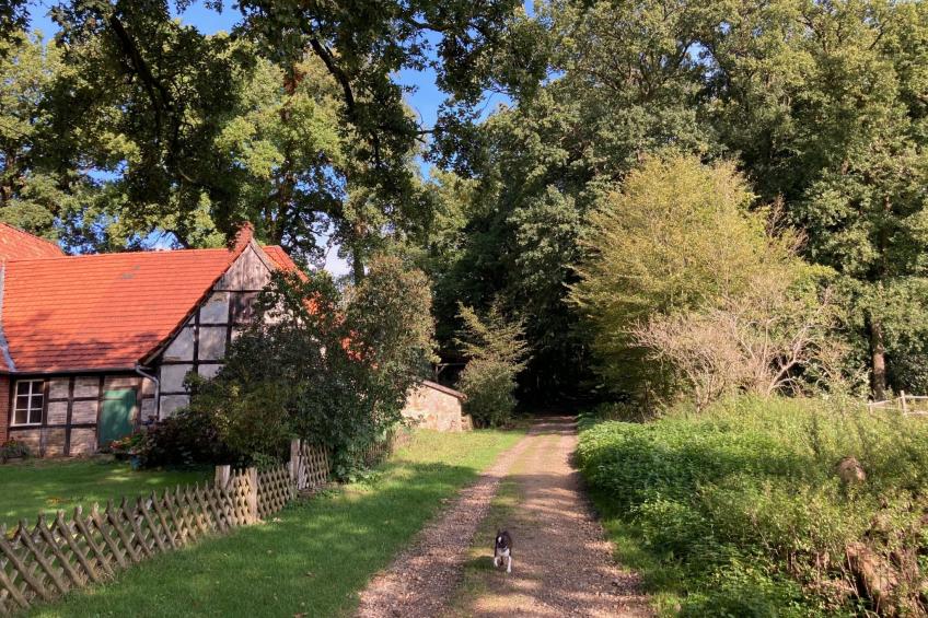 Schönes Ferienhaus in Brochterbeck mit Garten - foto 25