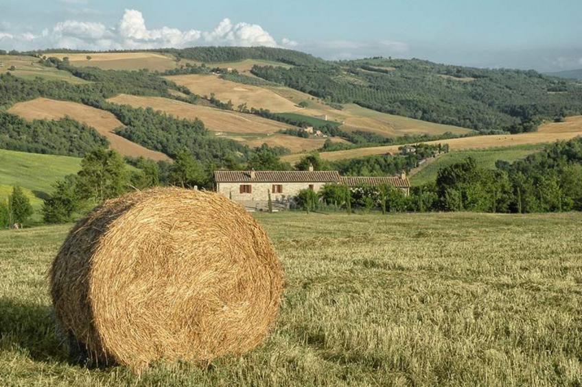 Il Melograno Panoramahaus - foto 31