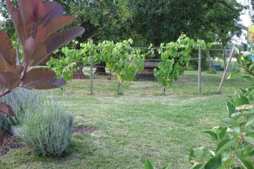 Haus "l'Ecurie" mit Terrasse und Garten - foto 17