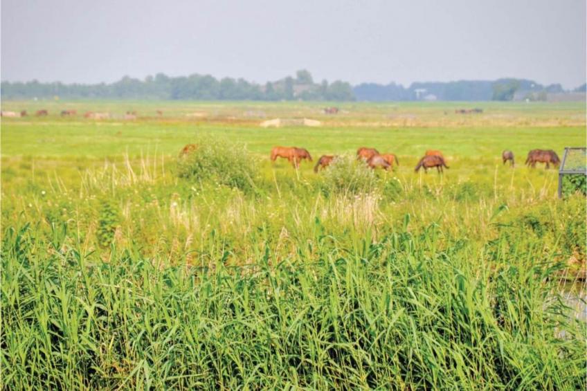 Knus appartement in hartje Sneek - foto 19