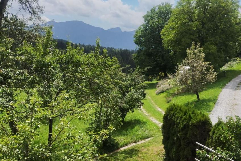Idyllische Panorama-Südwohnung in Wörtherseenähe - foto 2