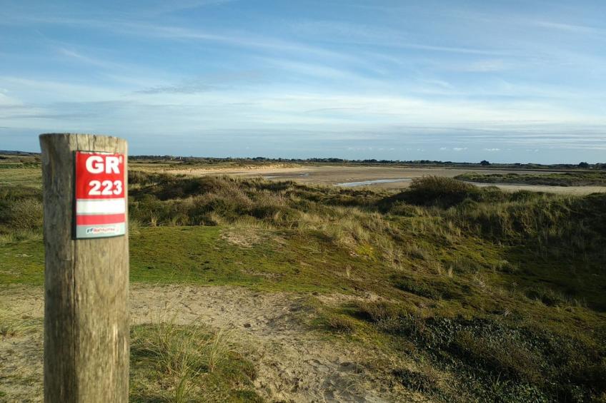 Le Bois aux Ecureuils (Eichhörnchenwald) - foto 38