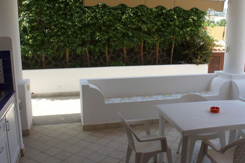 'Camelia ab 236 - foto 22