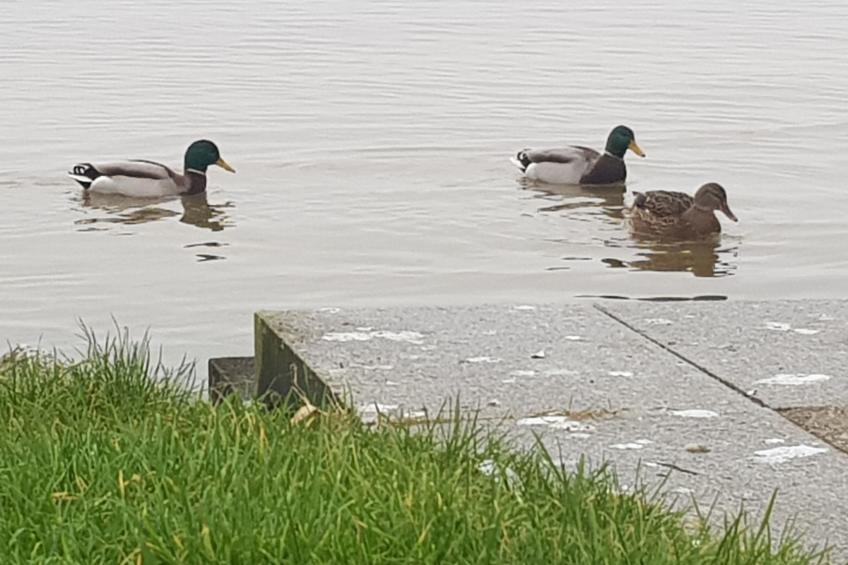 mit Whirlpool - foto 36