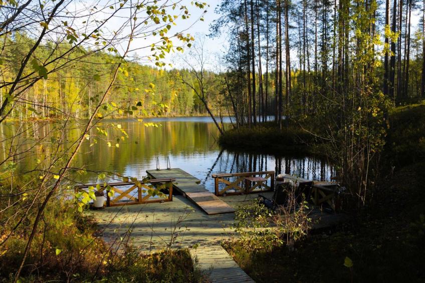 Villa tunturitervakko - foto 3