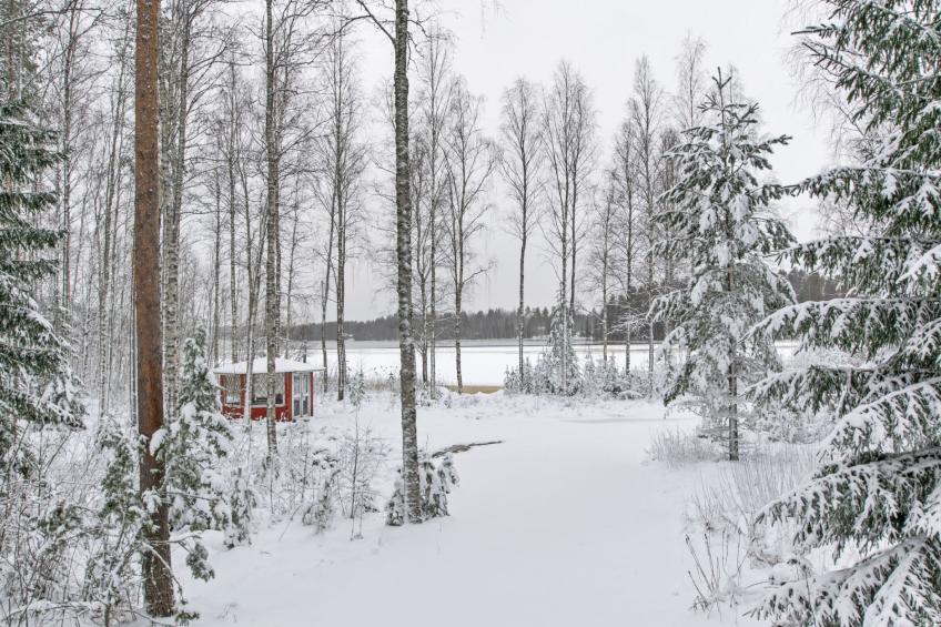 Tyynelä - foto 18