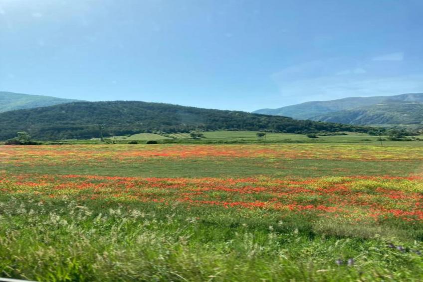 Pra Sainte Marie - foto 38