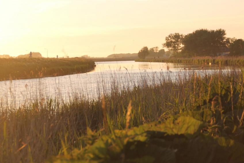 Lisakowski-Dorn - foto 2