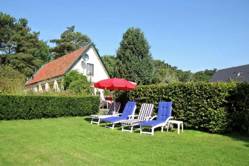 Bonte Specht - foto 2