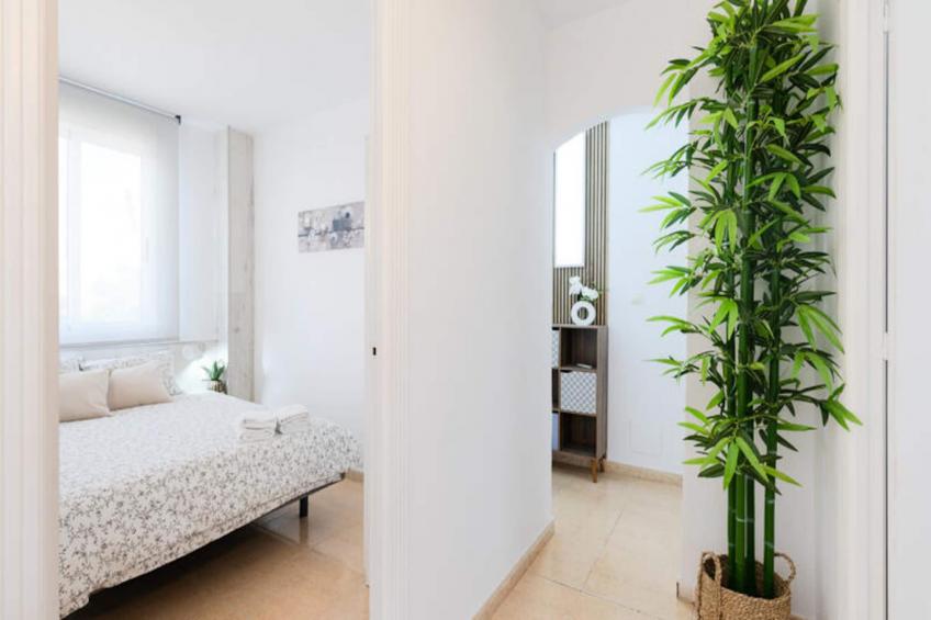 Maison à Torrevieja - foto 49