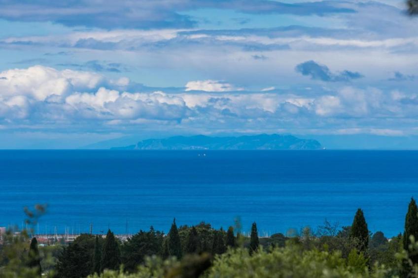 Mulinomanzi - foto 26