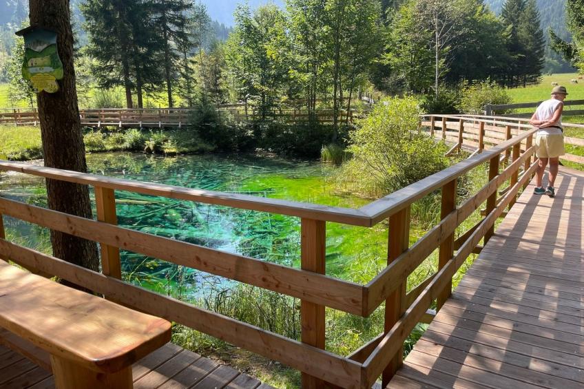 Haus Nicole - foto 22