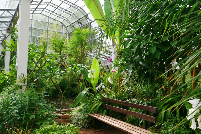 Große Wohnung in viktorianischer Villa - foto 36