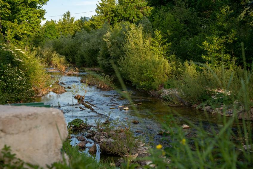 Villa Brusiana with covered heated pool - foto 47