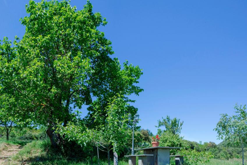 Ländliches Haus Médulas 2. für 4 PAX belegbar - foto 25