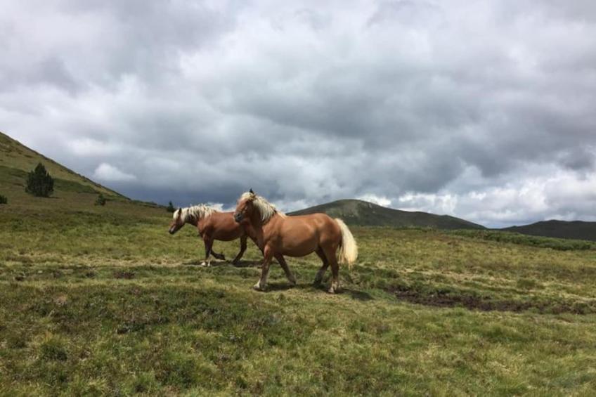Entre le Gers et les Pyrénées VII - foto 23