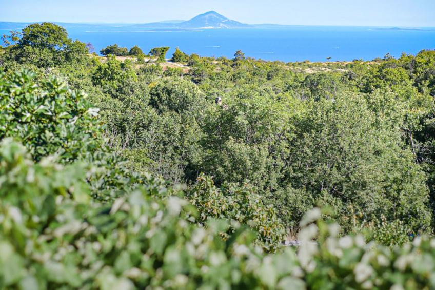 LeMareVita - foto 29