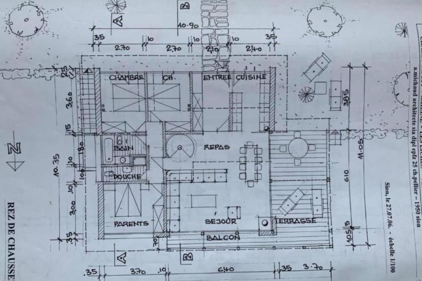 Blue Merle - foto 22