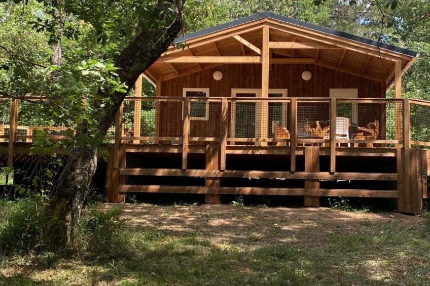 Wohnung in Vivario mit Terrasse, Grill und Garten - foto 2