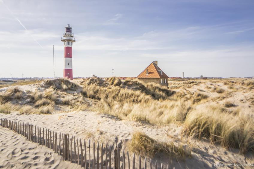 SANDY CAPE 401 - foto 23