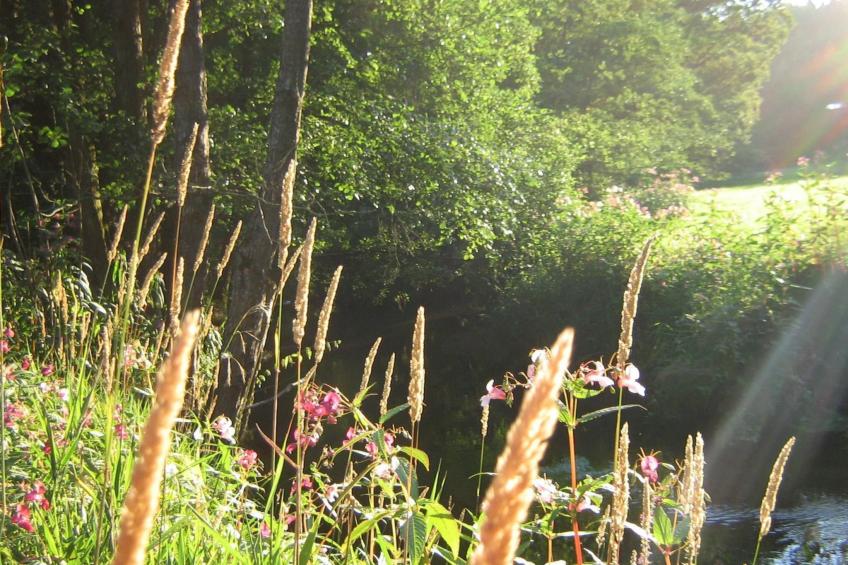 Urlaub in der Natur! - foto 24