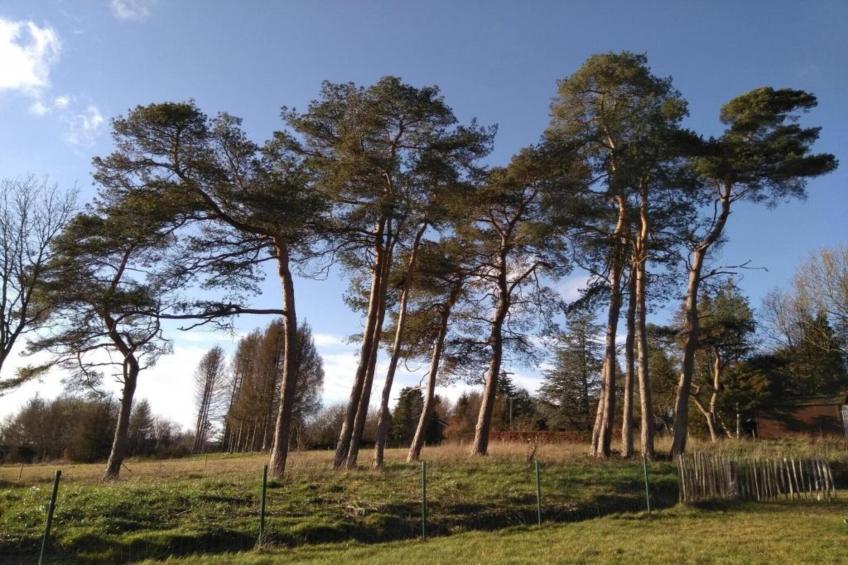 Résidence Durbuy 19 - foto 31