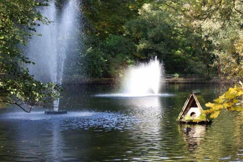 Mayer in Oberkirch - foto 38