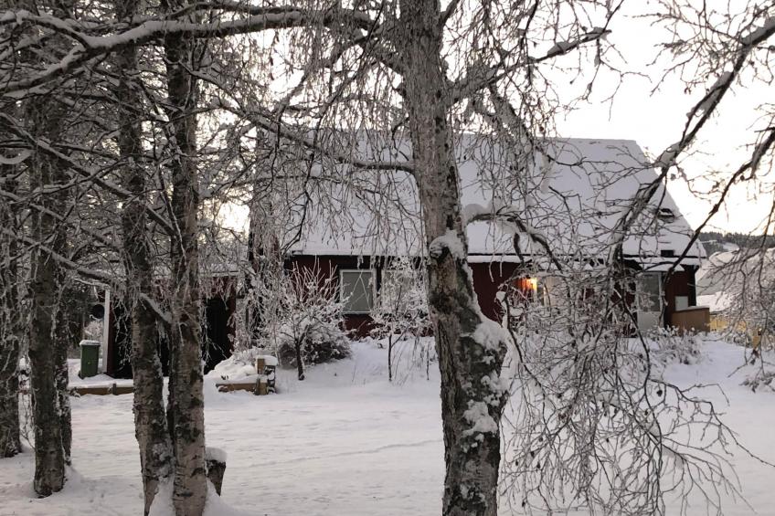 Schöne große "Villa Stolle" 9 Personen 2 Bäder - foto 34