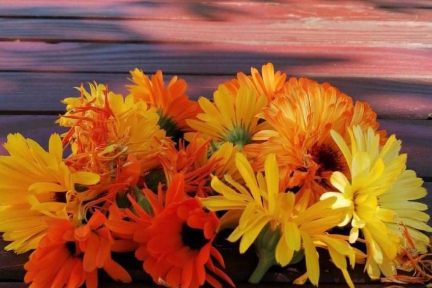 Rustikales Haus in Lukoran mit privatem Parkplatz - foto 54