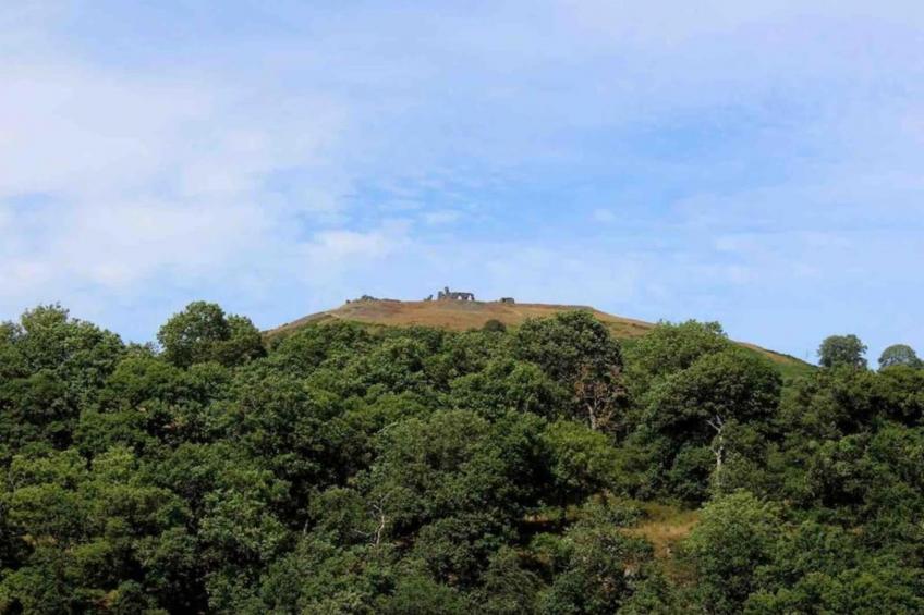 Owl Cottage - foto 26