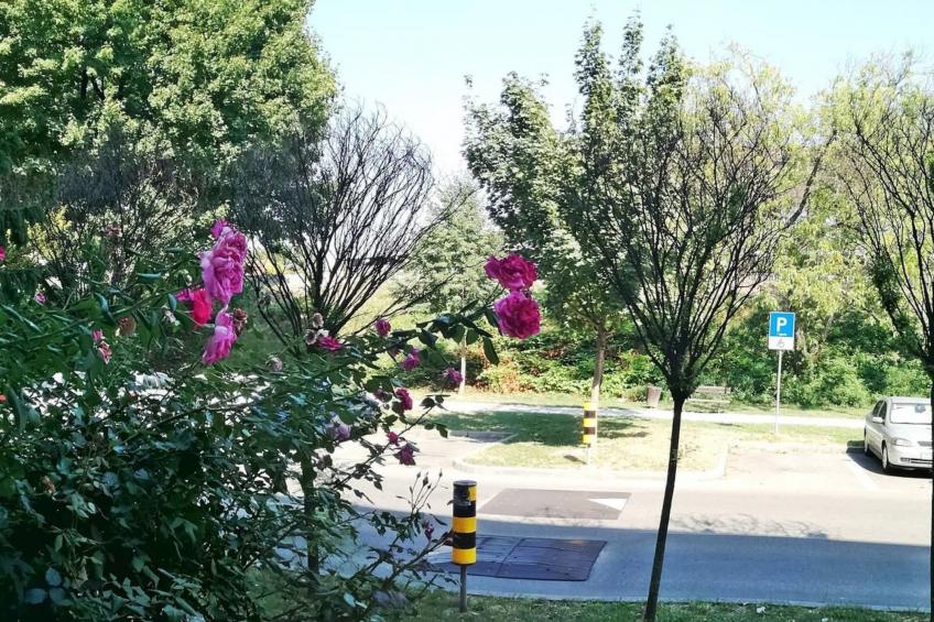 Schöne neu renovierte Wohnung in der Nähe des Zentrums - foto 19