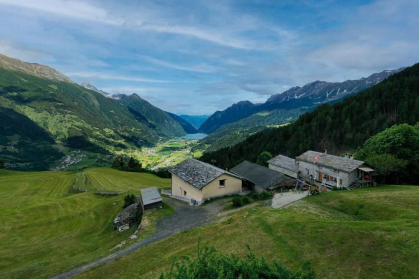 Monte Campell Dasura - foto 2