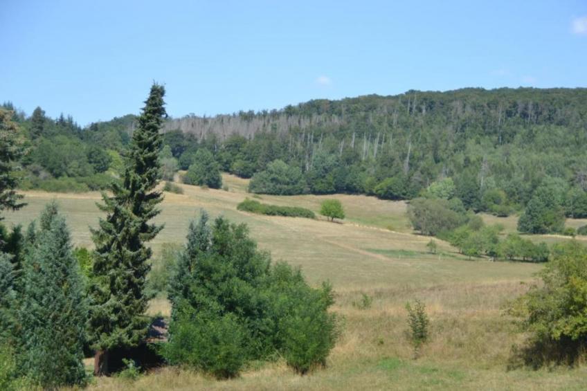 Am Sternberg - foto 37