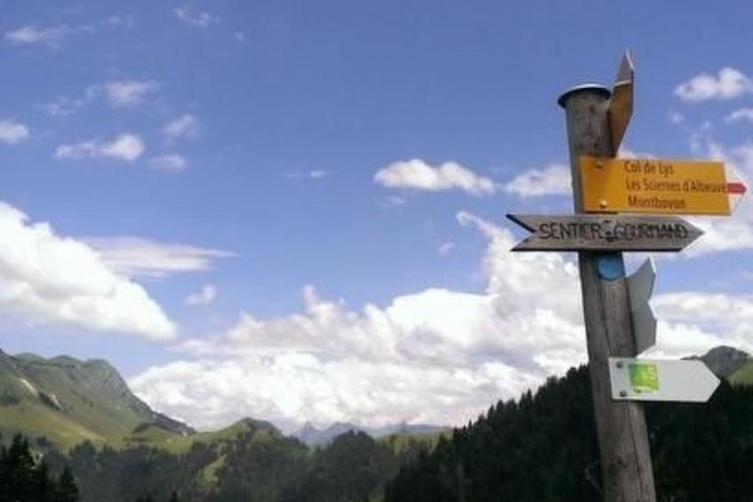 Maiensäss Romantica - foto 53