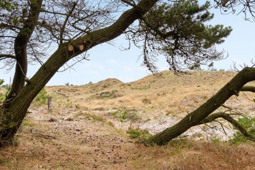 "Atreju" - 2km from the sea in NW Jutland - foto 4