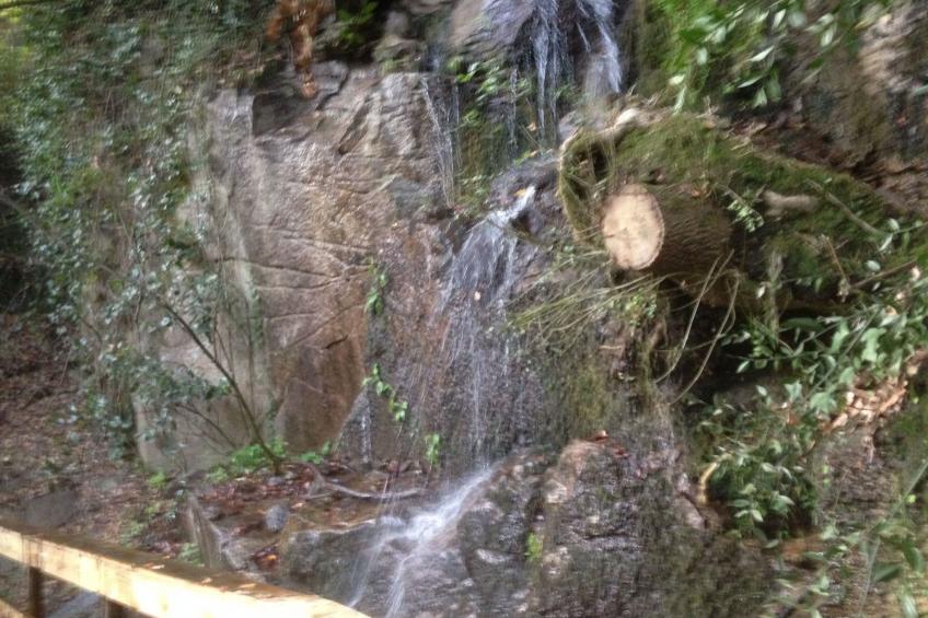 "Großvaters Häuschen" mit Kamin - foto 38