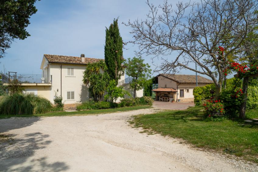 Grappolo Rosso - foto 32