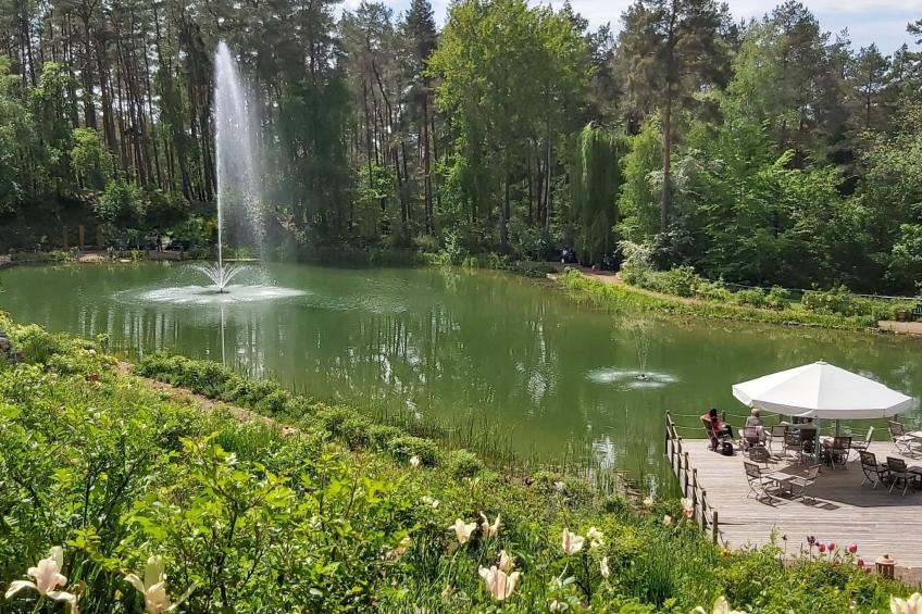 Wohnung in Jameln mit Garten, Grill und Terrasse - foto 27