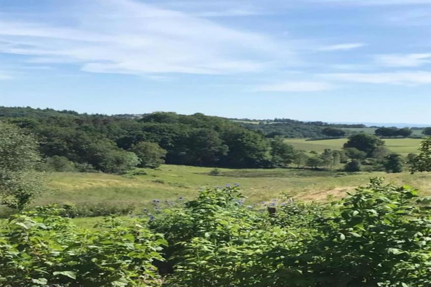 La Charmante - foto 26