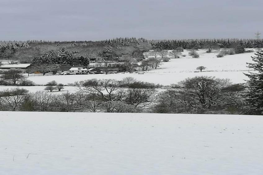 Sapin-Paul - foto 34