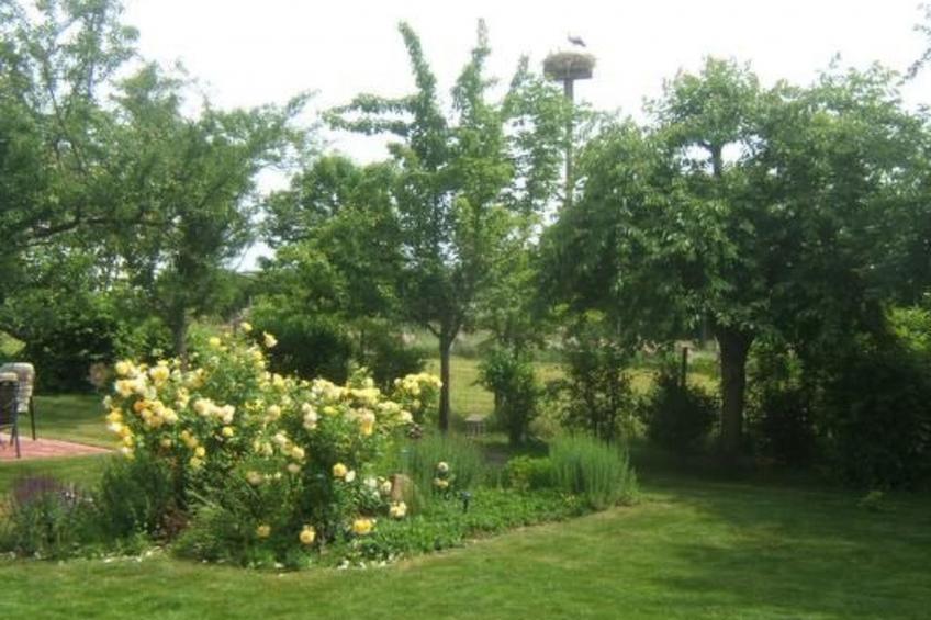 am Wiesengrund in Venningen - foto 12