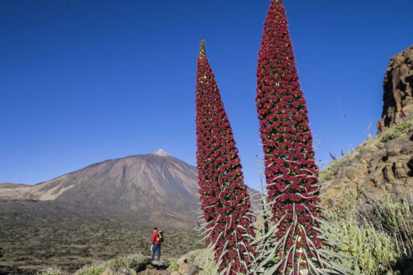 "Aquarius" mit Wasserblick - foto 33