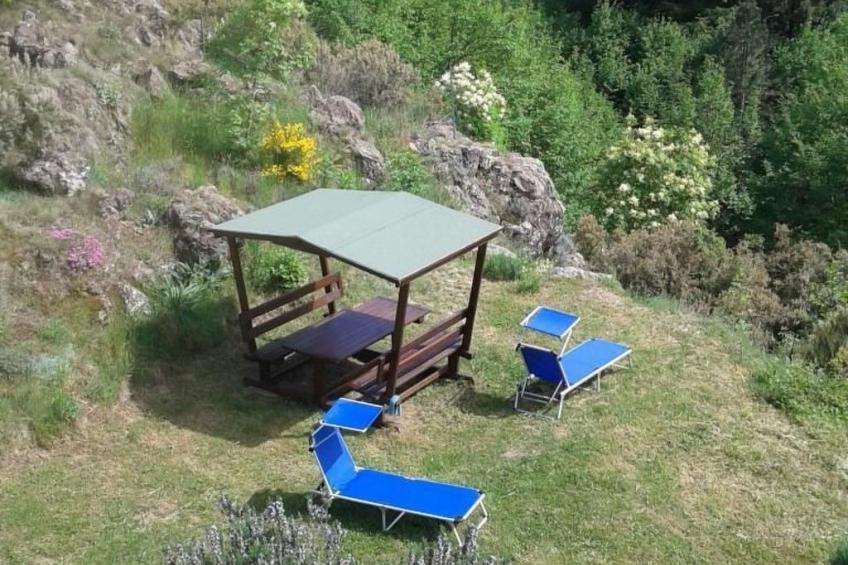 Natur und Entspannung, Villa im Park - foto 14