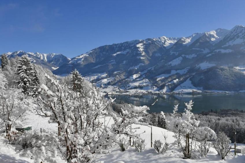 Holzhaus auf Lamahof - foto 41